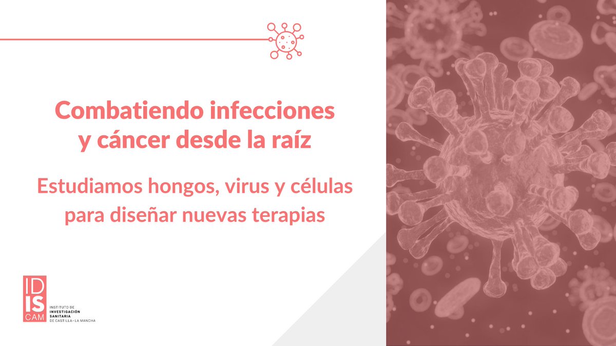 idiscam's tweet image. 🦠💊 En #IDISCAM analizamos cómo actúan hongos patógenos, virus RNA y células tumorales para desarrollar tratamientos más eficaces contra infecciones y cáncer

👉 idiscam.es/investigacion/…