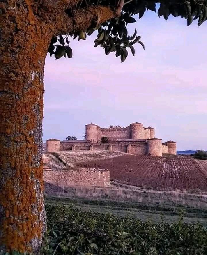 Graciel26499963's tweet image. 🔆 Imagen del Castillo de #Almenar en #Soria ,#España 🏰 ... 🇪🇦