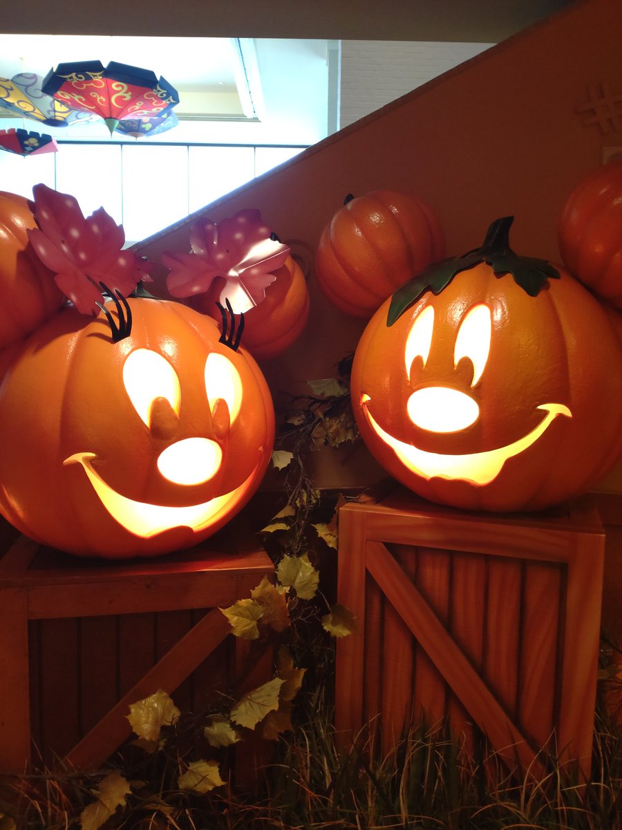 0526risa's tweet photo. AnaheimDisney
70周年目当てがすっかりハロウィン🎃
前回が60周年だったから次回は、80周年か…🐭 https://t.co/vFipM1xfyV