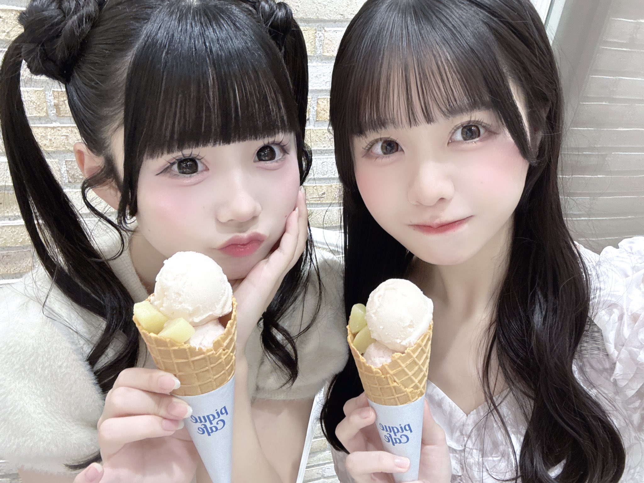 福丸うさ　武道館 福丸うさ【iLiFE!】 (@iLiFE_fukumaru) / X