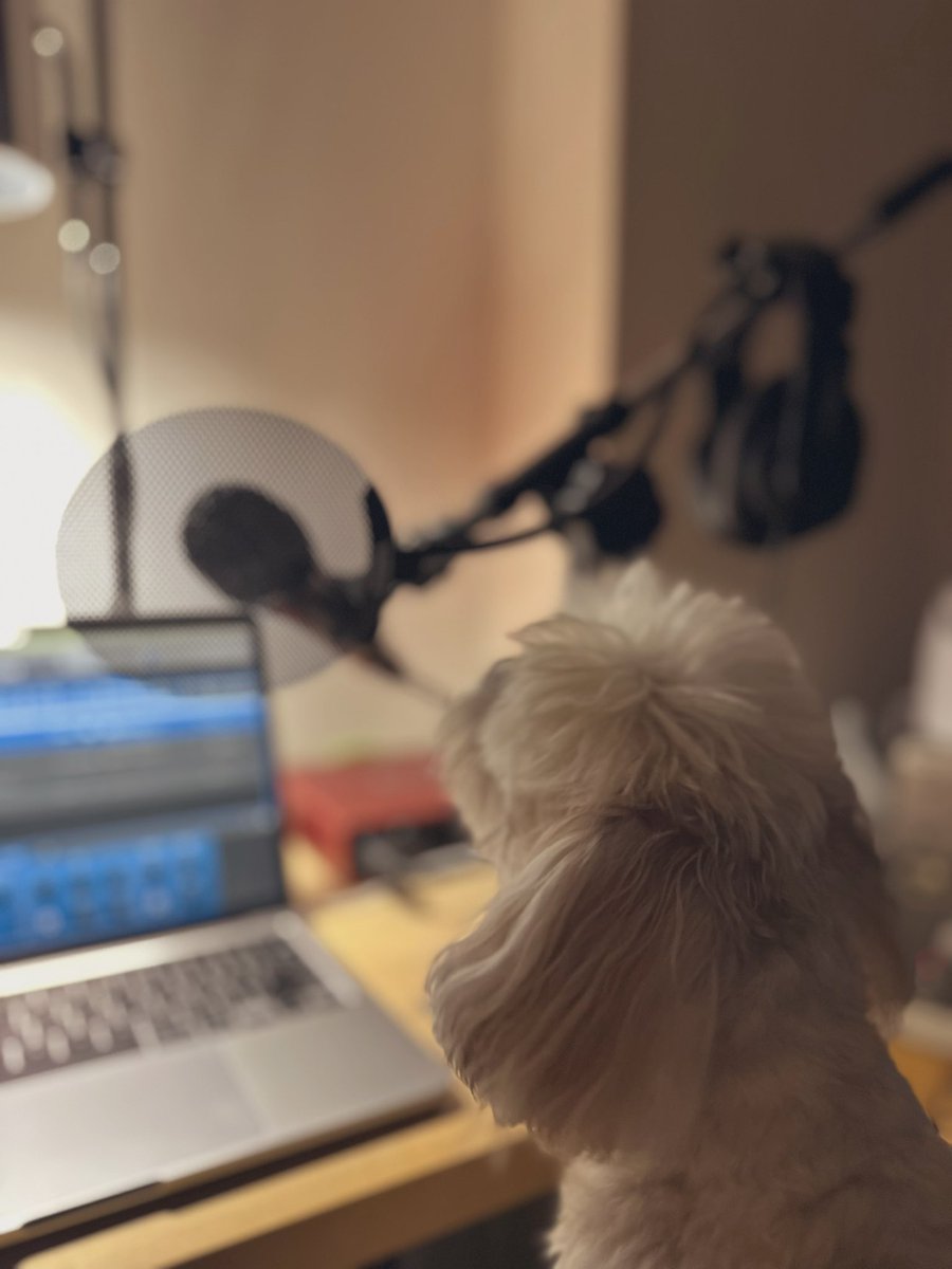 ひろ 様お決まり分☺︎ E-JQ6PYVUAIHQC8.jpg:large