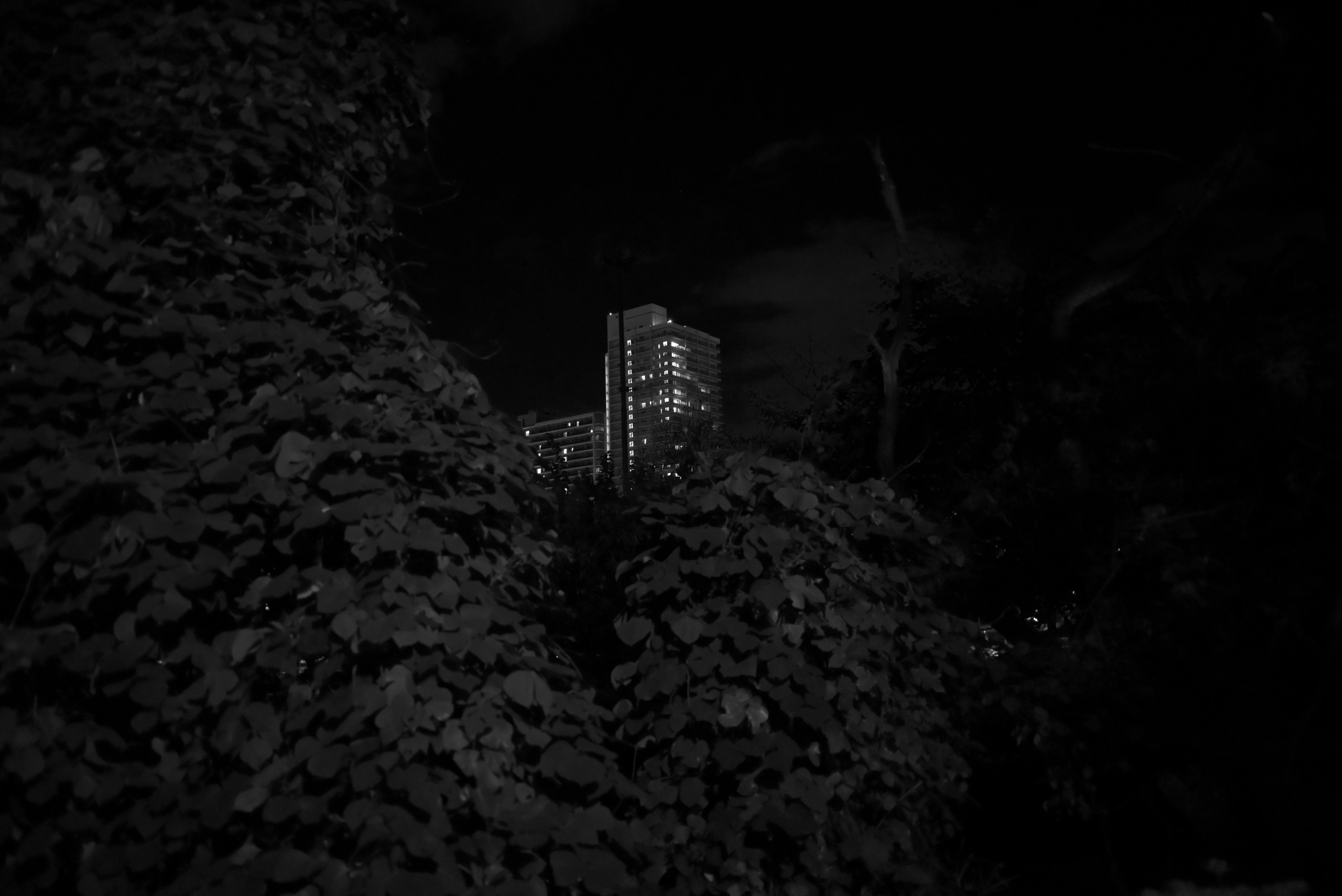 Guillaumin、PAYSAGE、海外版超希少レゾネ、新品額付 速報！2022年パネライ新作モデルを発表！by Watches ＆ Wonders