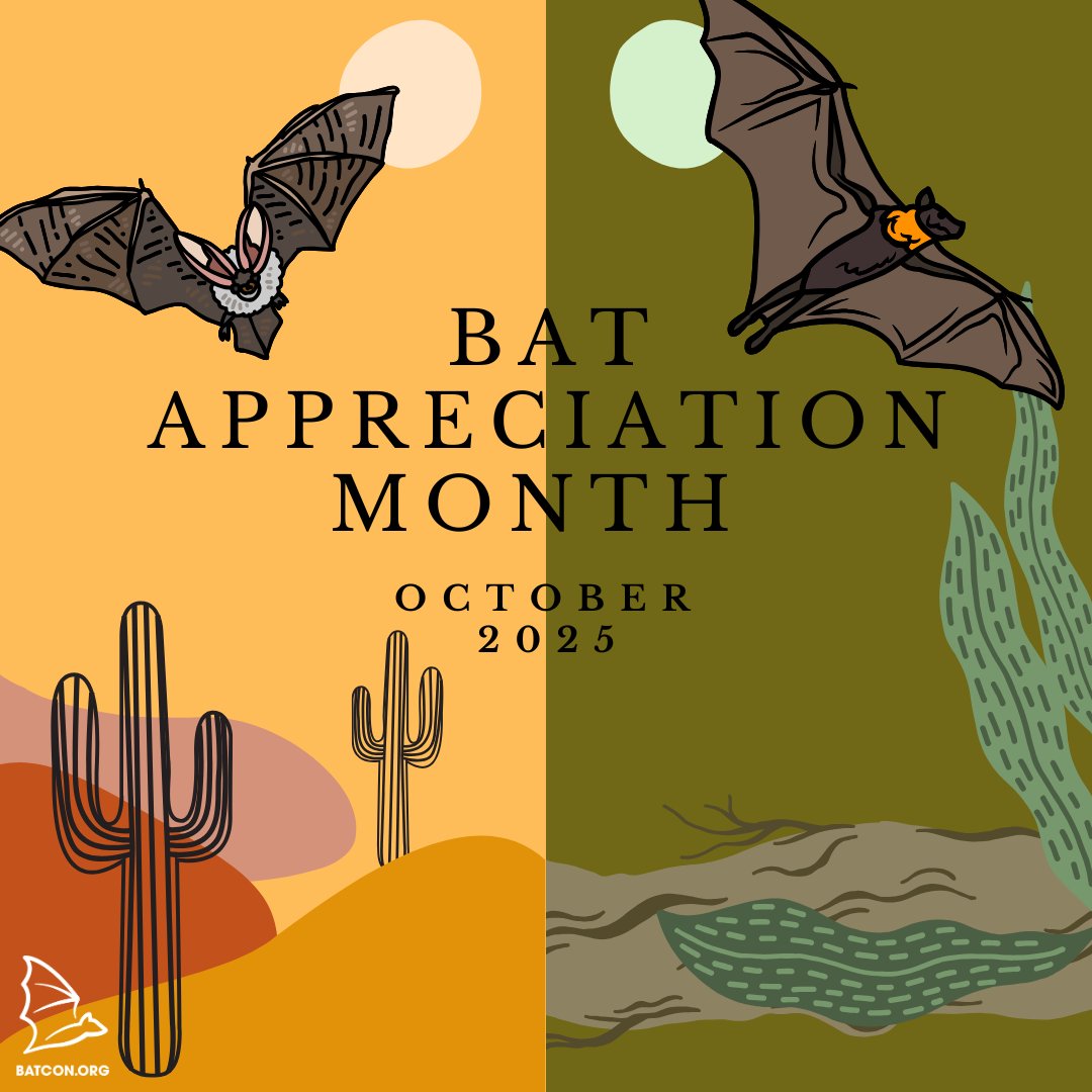 It's officially 𝐁𝐚𝐭 𝐀𝐩𝐩𝐫𝐞𝐜𝐢𝐚𝐭𝐢𝐨𝐧 𝐌𝐨𝐧𝐭𝐡! 🦇What do you most appreciate about bats?