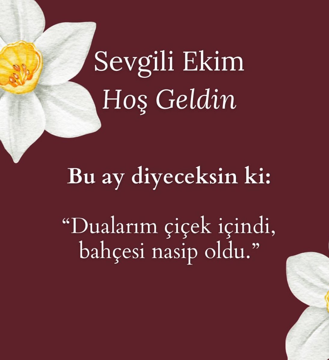 su_675khk's tweet photo. Müjdelerle gel ekim… https://t.co/qstqCK4Xvv