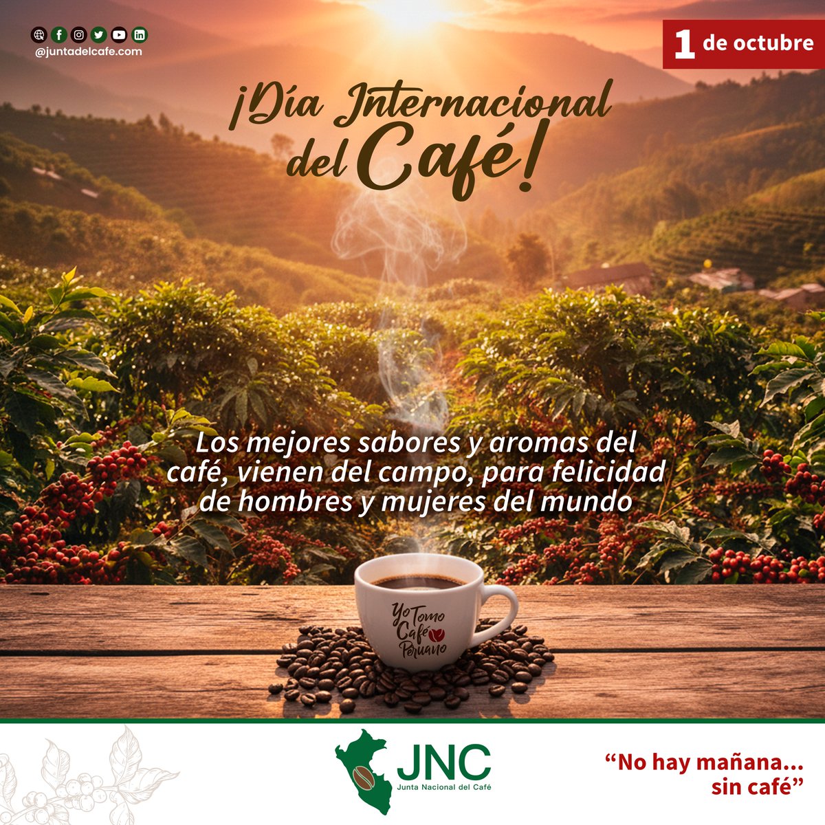 Junta del Café tweet media