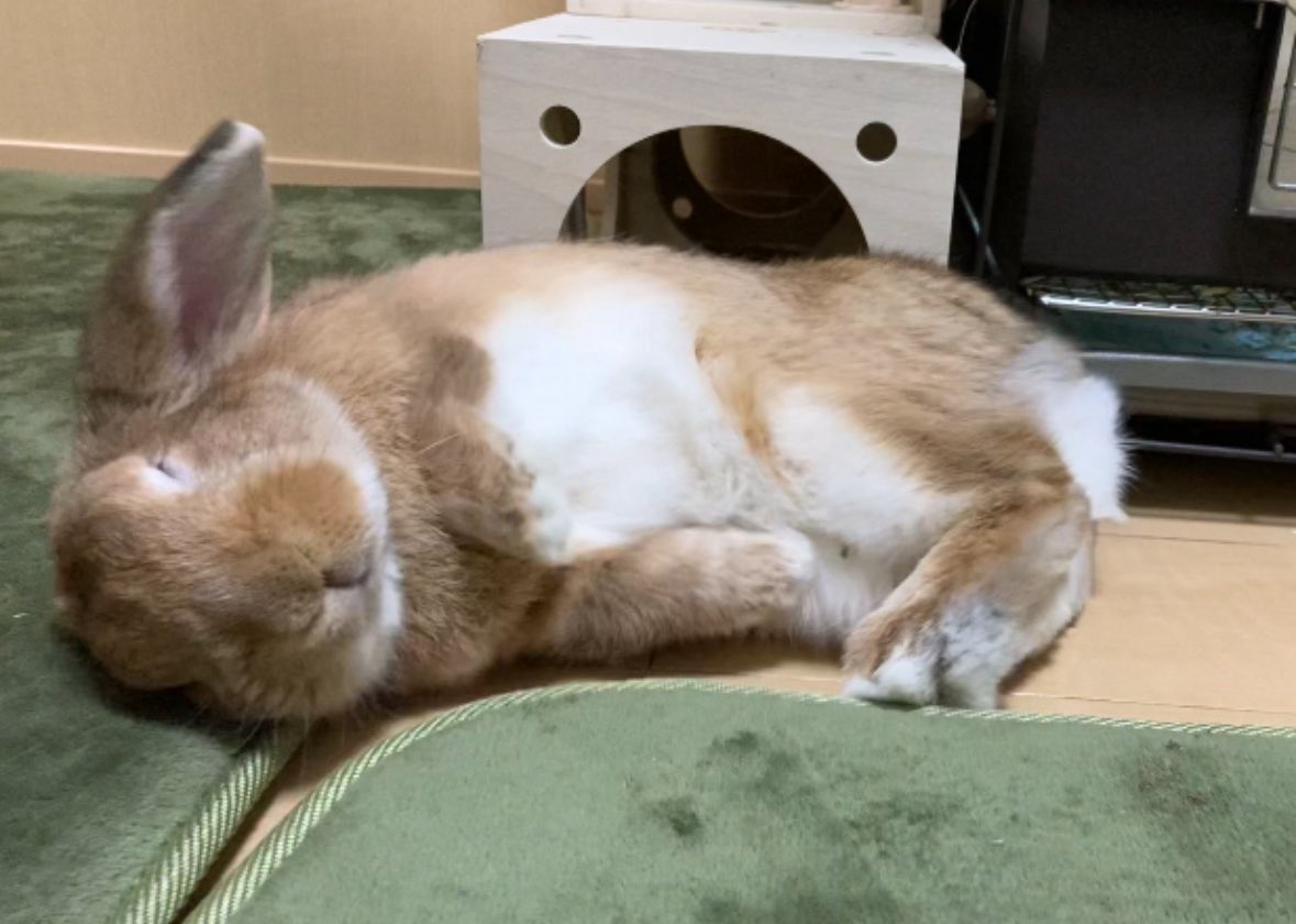 いや〜今日も疲れたぁ