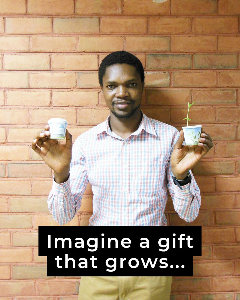 ForestNation tweet media