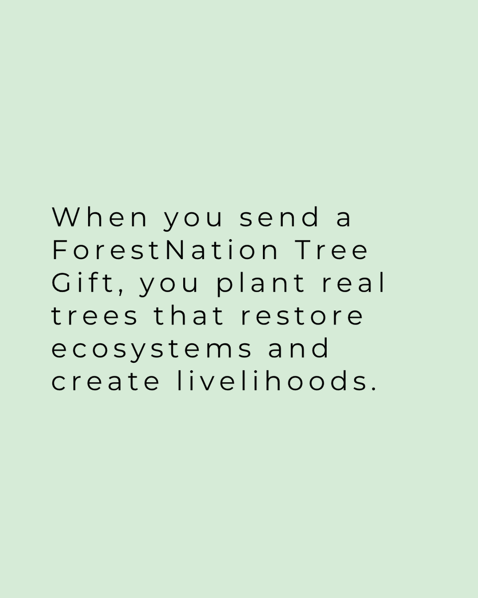 ForestNation tweet media