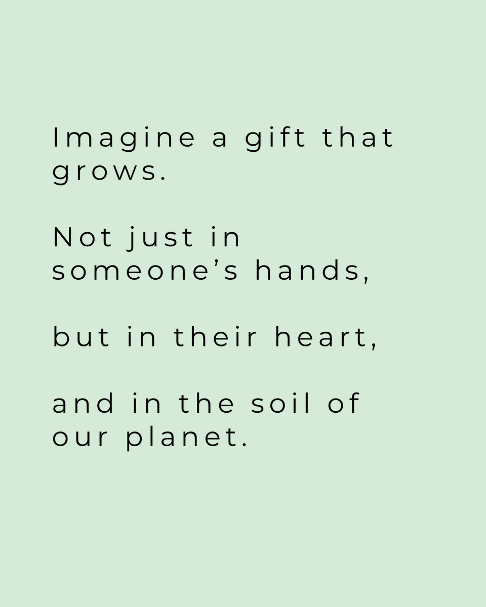 ForestNation tweet media