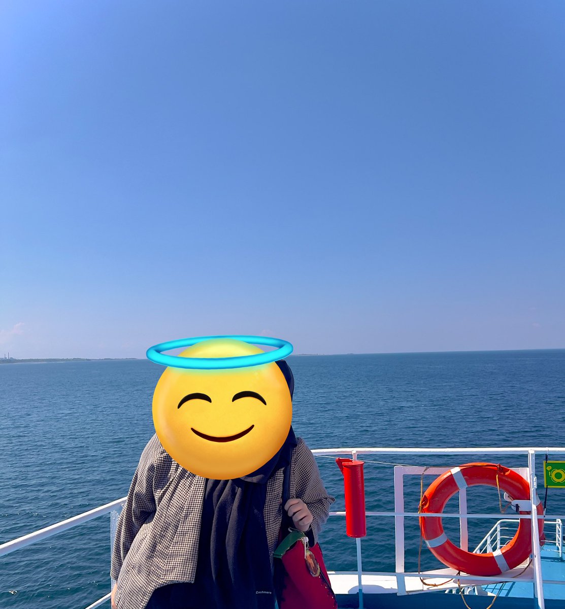 nadin tweet media