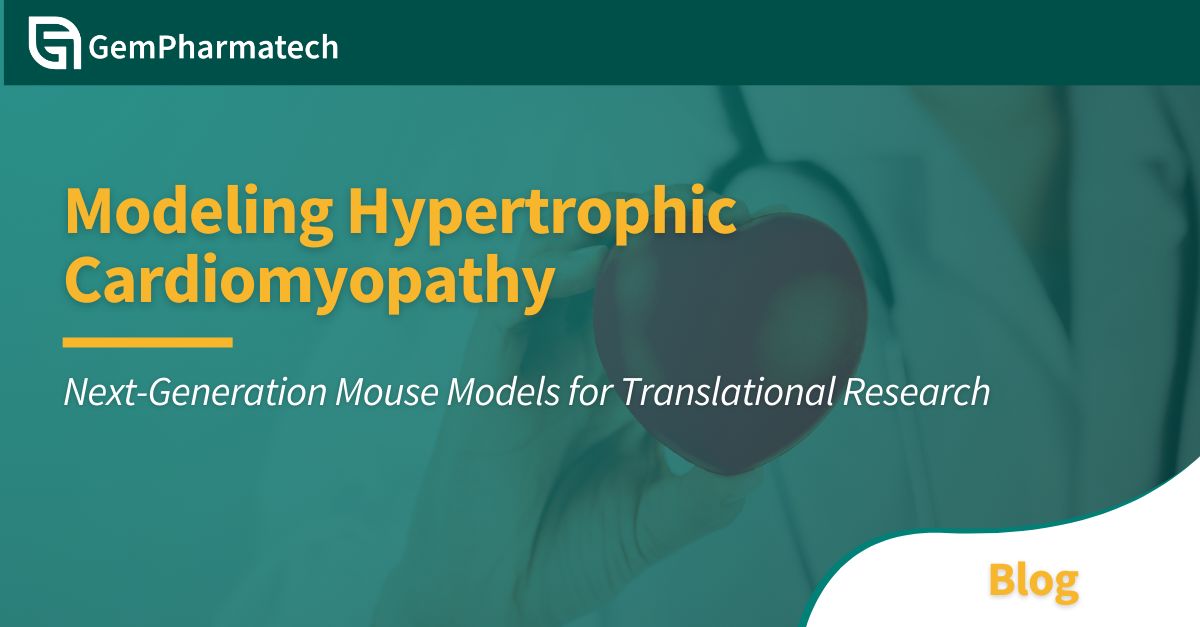 Hypertrophic cardiomyopathy (#HCM) is the most common hereditary #heartdisease, yet current treatment options remain limited, often alleviating symptoms without addressing the root cause. Learn how our models can empower your HCM drug discovery program: buff.ly/DqSnbtG