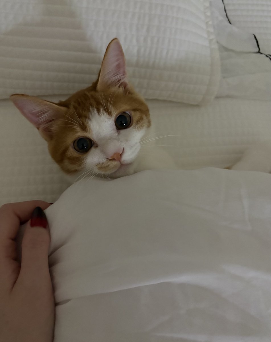 머해