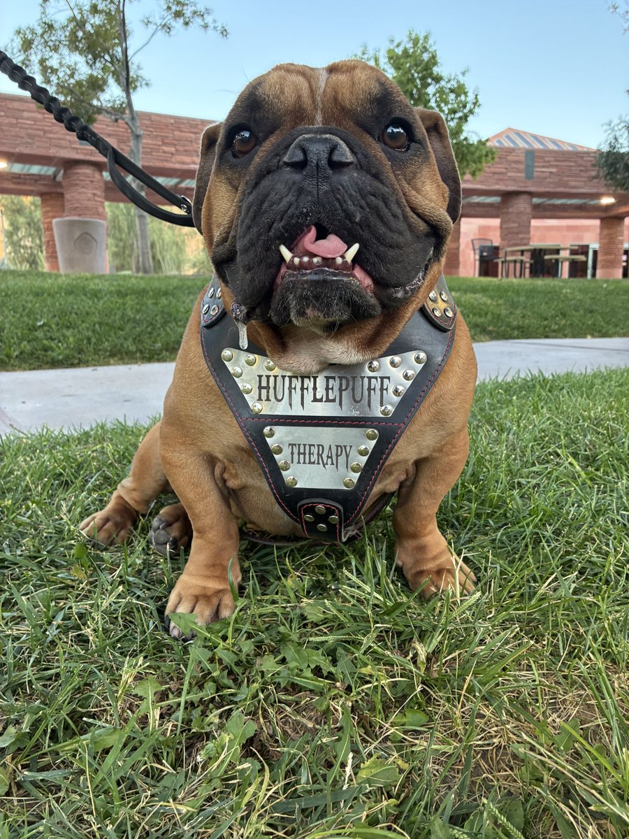 Mike Allen tweet media