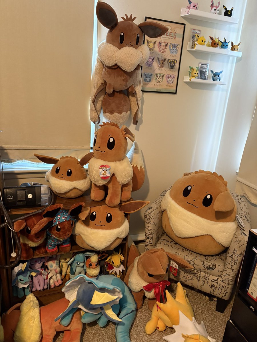 Me: You know, I don’t think really have a singular Pokémon that is my favorite…

Also me:
#Pokemon #EeveelutionSquad