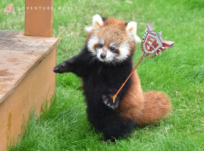 E36 しぇろん/shelom tweet media