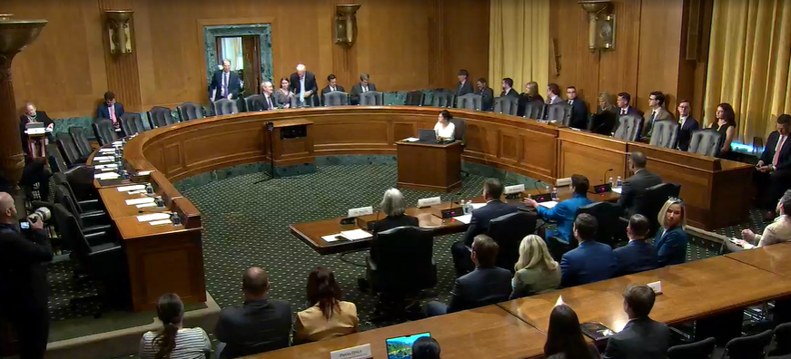 Stacey Rolland tweet media