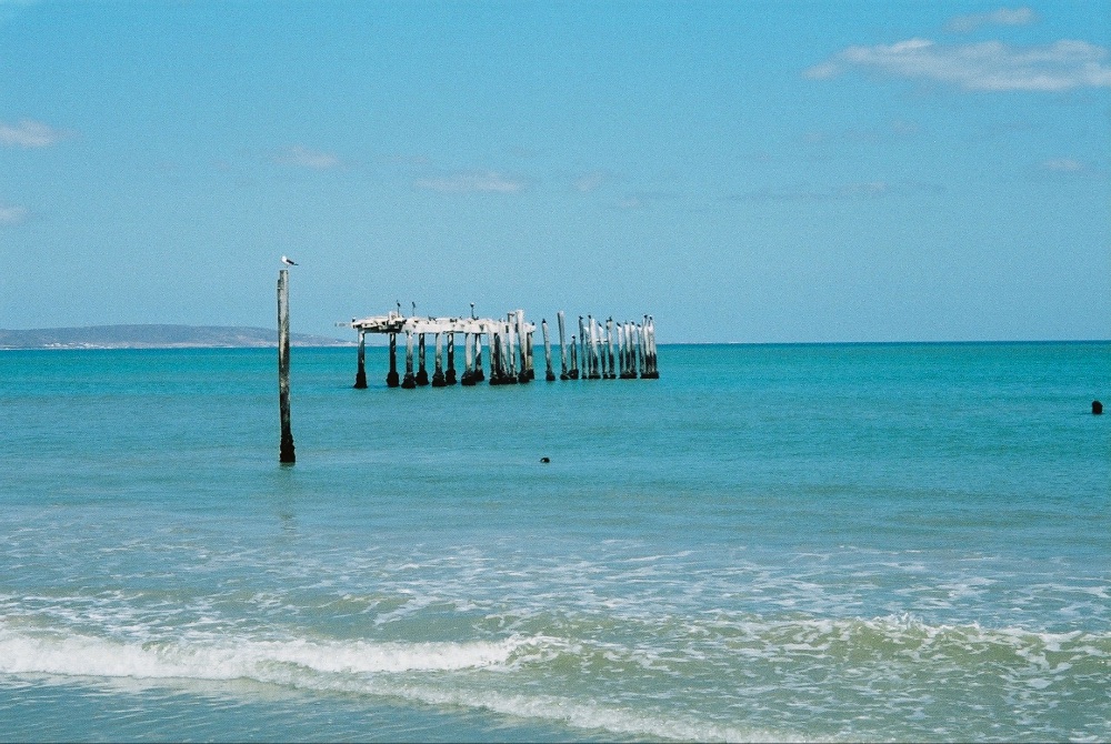 I 💜 Weskus Newsletter - mailchi.mp/b8574bee8e02/i…

PHOTO: Nadine Pretorius

Sign up to our monthly newsletter: eepurl.com/dcX6WH