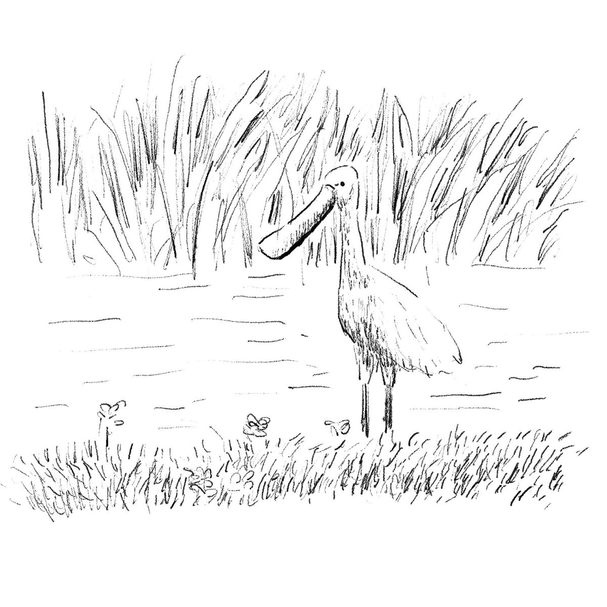 光永これゆき tweet media