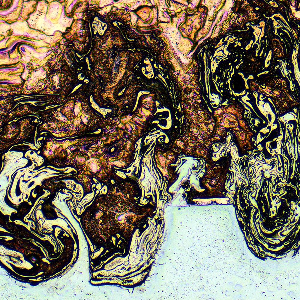 buehler_itw's tweet image. The October 2025 #Buehler #microstructure Calendar Winner is from ~ Rhys Scott: MTC, Warwickshire, UK. Laser welded copper on steel. Etched using Kallings No. 2 reagent and viewed in bright field.
