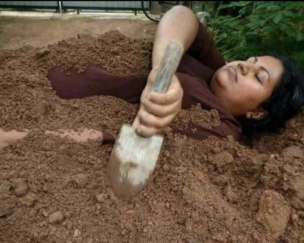 André Camargo tweet media