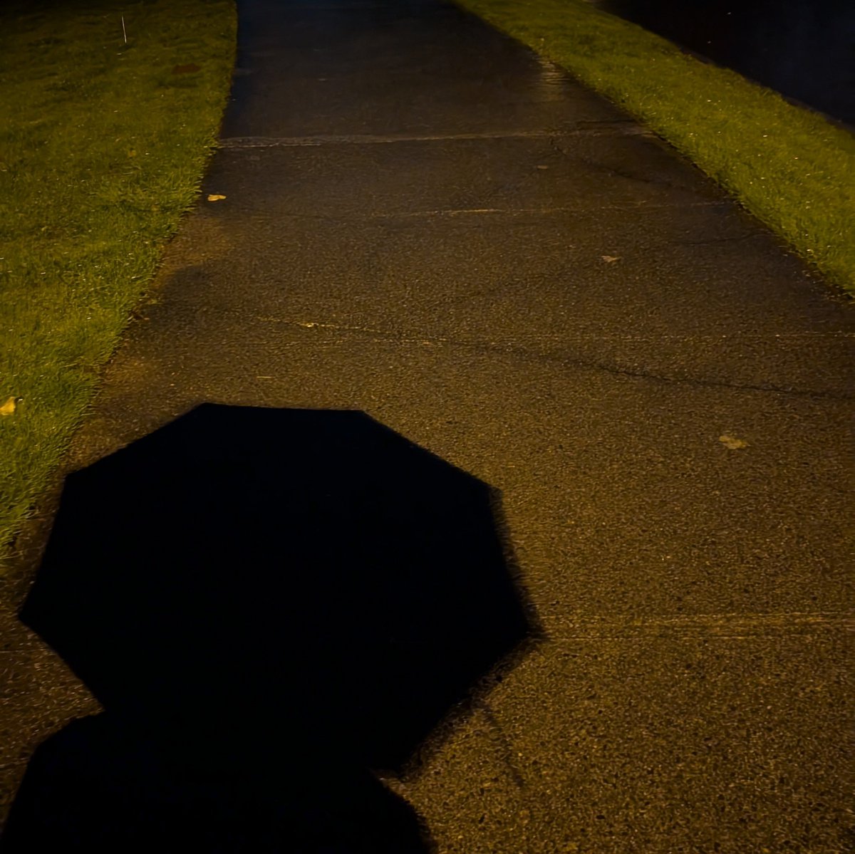 Morning Walk: 3.3 miles (5.3 km) RAIN and cool. Saw 0 dogs, 5 runners,  and 1 fellow walker who complimented me on bringing an umbrella. I still got soaked though. Listened to an audiobook on Libby: Team of Teams by General Stanley McChrystal