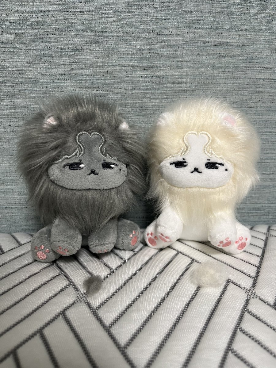 world_sthe's tweet photo. 속보
예뾰 진짜 사자로 밝혀져
진짜 동물처럼 털갈이하고 헤어볼을 생성
온 방안이 고양이키우는 집이 될 수 있으니
취급에 주의 요망 https://t.co/ZrJHh6q7qX