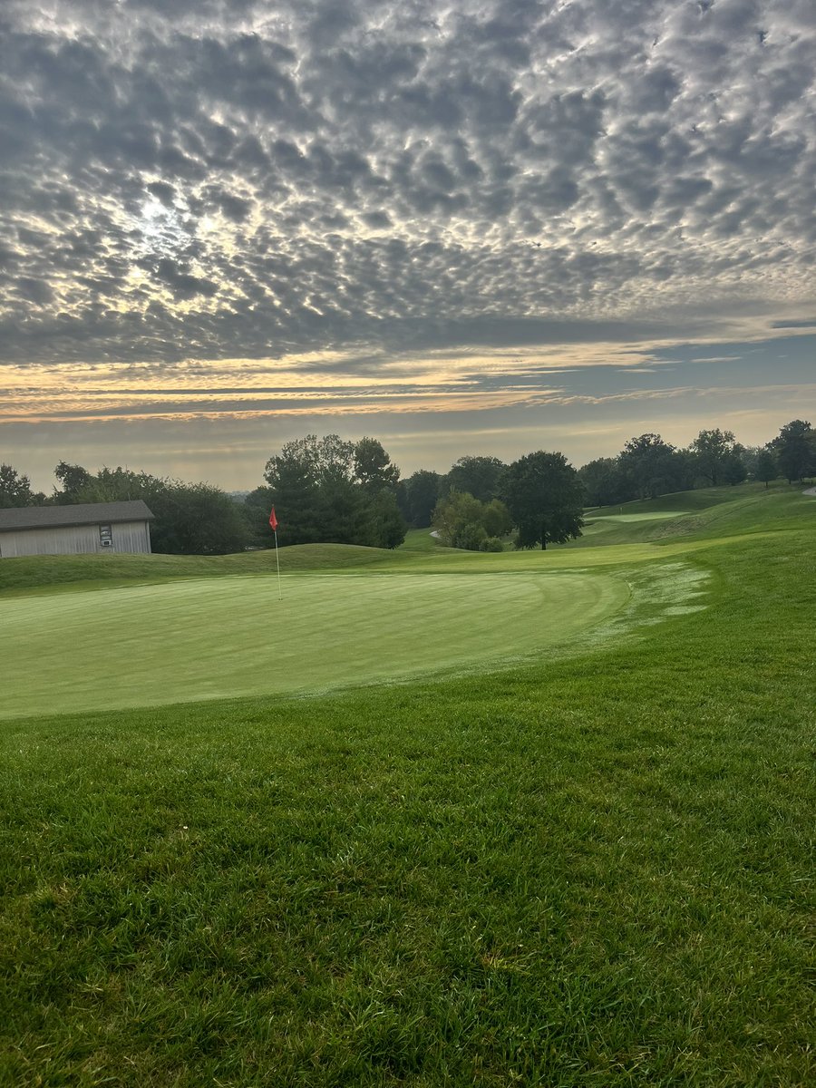 Kyrstie Miller tweet media