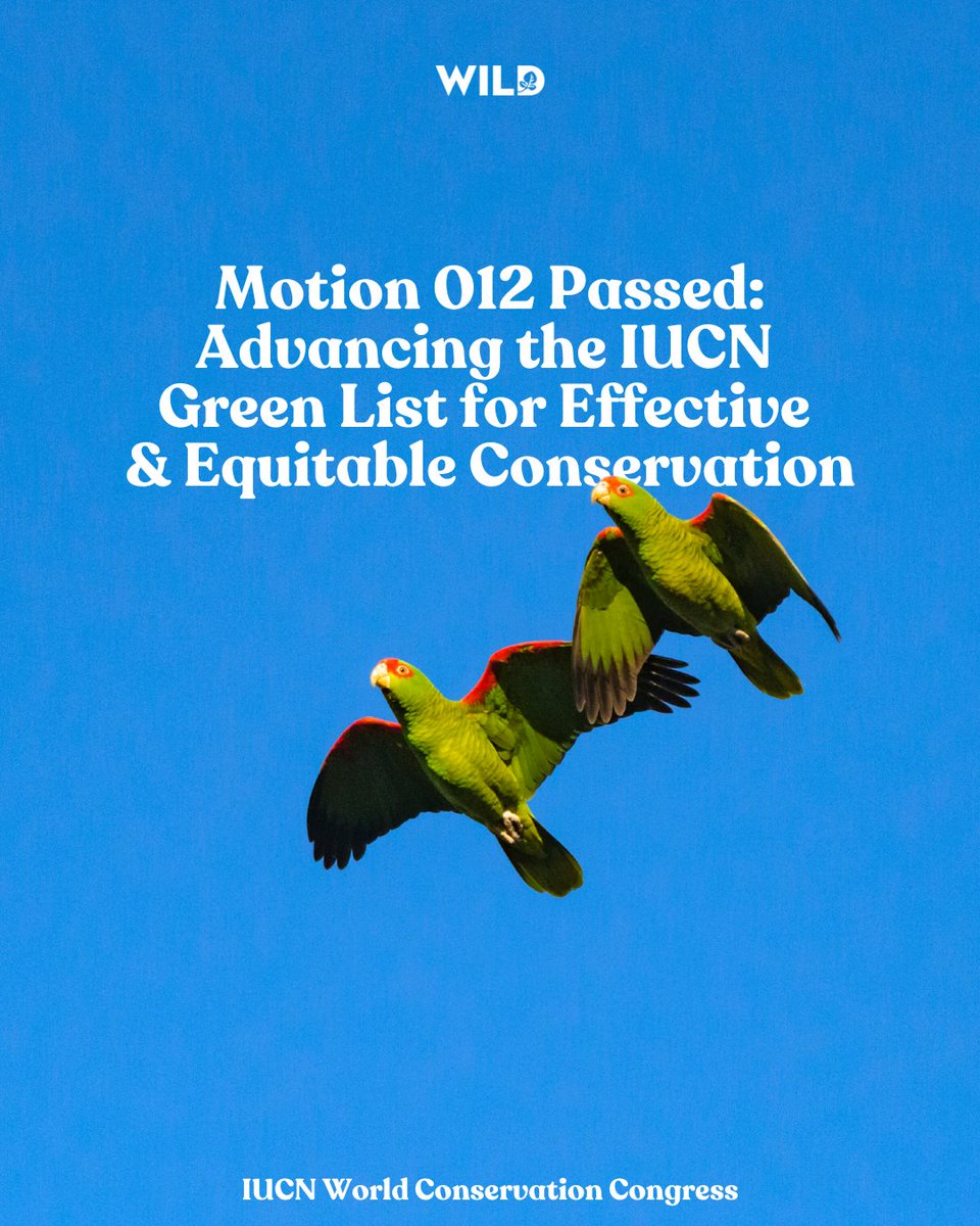 WILD Foundation tweet media