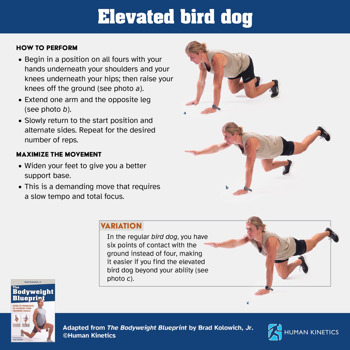 HumanKineticsEU's tweet image. Level up your core 💪

Try the elevated bird dog for strength, stability &amp;amp; focus.

From The Bodyweight Blueprint by Brad Kolowich Jr.

➡️ bit.ly/3Tu0QWY

#CoreTraining #BodyweightWorkout