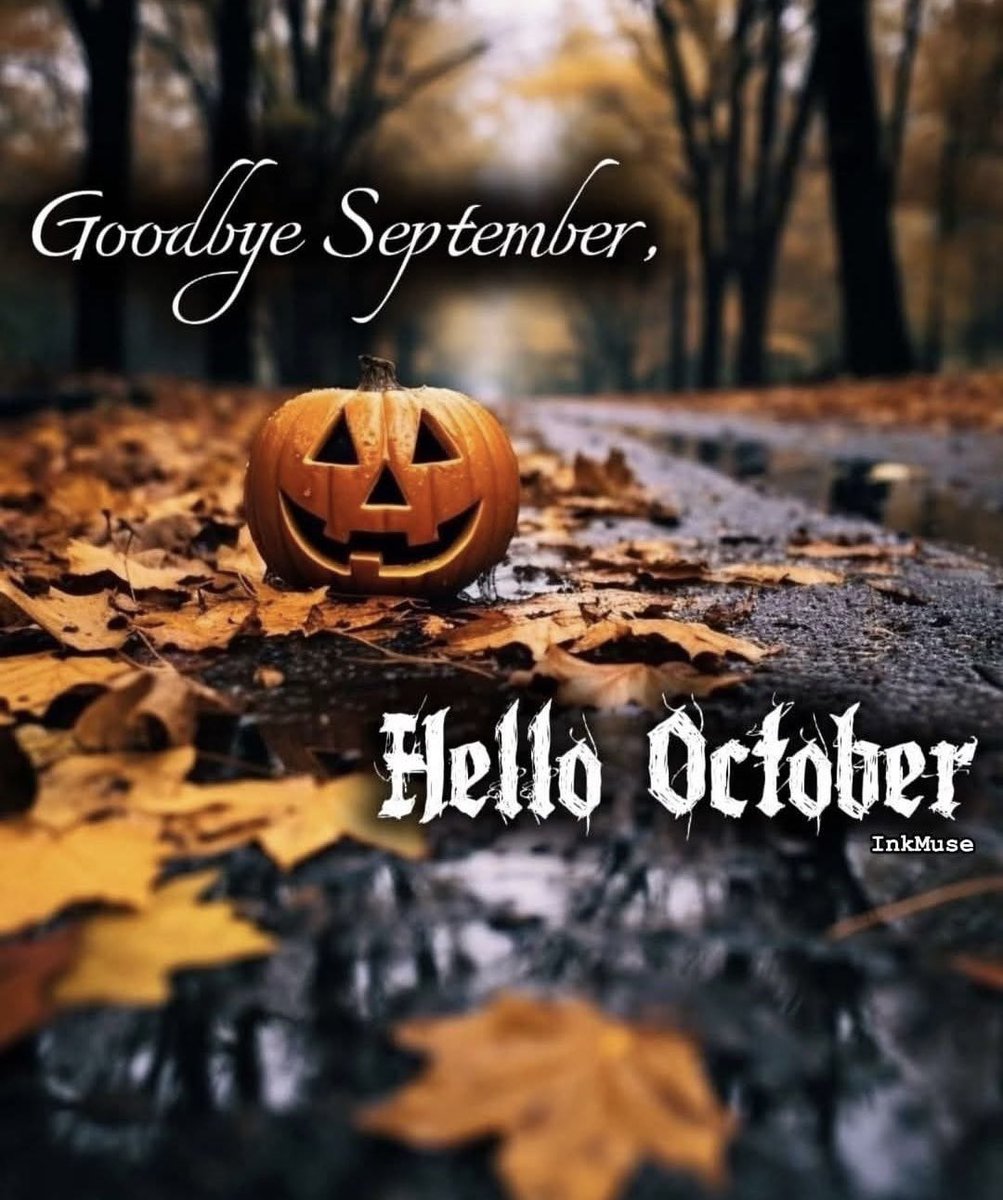 CharlotteZora's tweet photo. Good morning! Time is fleeting, and Halloween will be here before we know it. 🎃👻🍁 https://t.co/TXxo8OwjLv