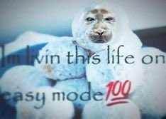 The Good Pervert tweet media