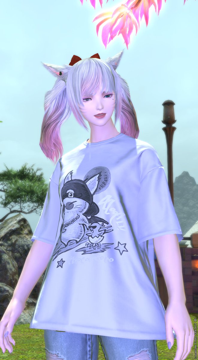 Hazuki_Wis's tweet photo. 【拡散希望】
本日久しぶりにFFにインした所、アカウントハックにあい私他３キャラ分のリテイナー・FCチェストからギルが盗まれてました・・・
私もワンタイムパス使ってなかったのもありますが、これは犯罪行為です！私の様に被害に遭わない様に、皆さん対策をしっかりしてくださいね！
＃FF14 https://t.co/4KmFHB774e
