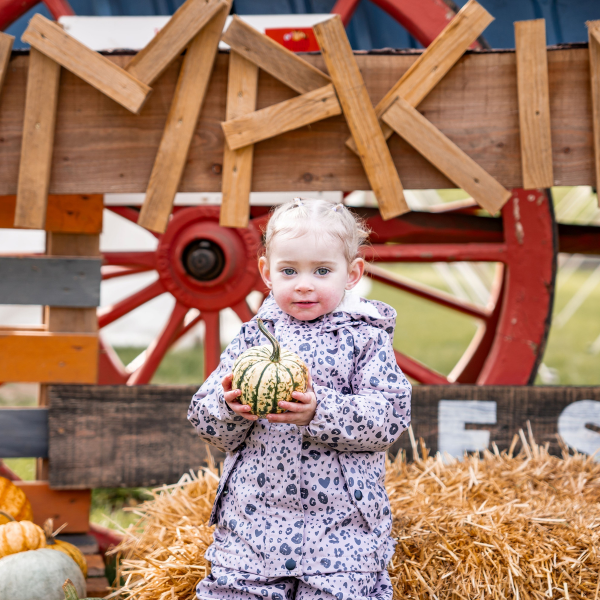RandFarmPark's tweet photo. TODDLER PUMPKIN FESTIVAL

6th-10th, 13th-17th, 20th-23rd October
10:00am – 2:00pm

Learn more at https://t.co/LXnIzAkCR3 https://t.co/aIhtktJqyt