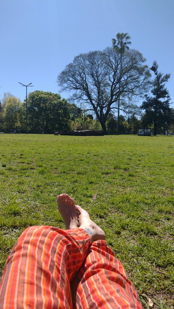 manuela_emp's tweet photo. Lindo miércoles 
Por acá oxigenando neuronas https://t.co/ylcbN3xBfa