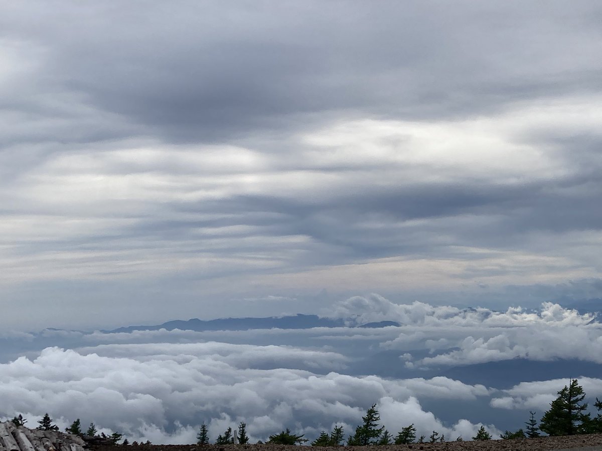 hinomoto701's tweet image. Red Fuji I pray,
rising up above the clouds,
to the higher sky.

赤富士を　拝んで雲の　上に行く

#redfuji #mushroomhunting #senryu #hinomoto701 #赤富士 #キノコ狩り #川柳 #ヒノモト