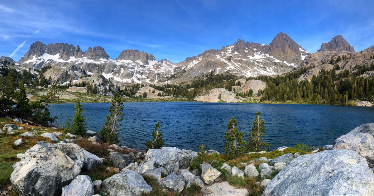 Adam In LA LA Land tweet media