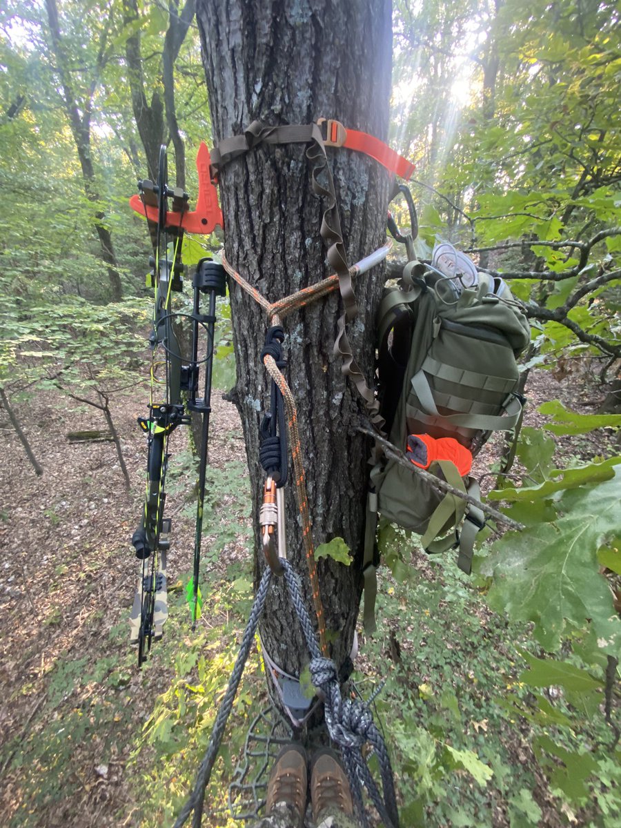 My life for the next 4 months