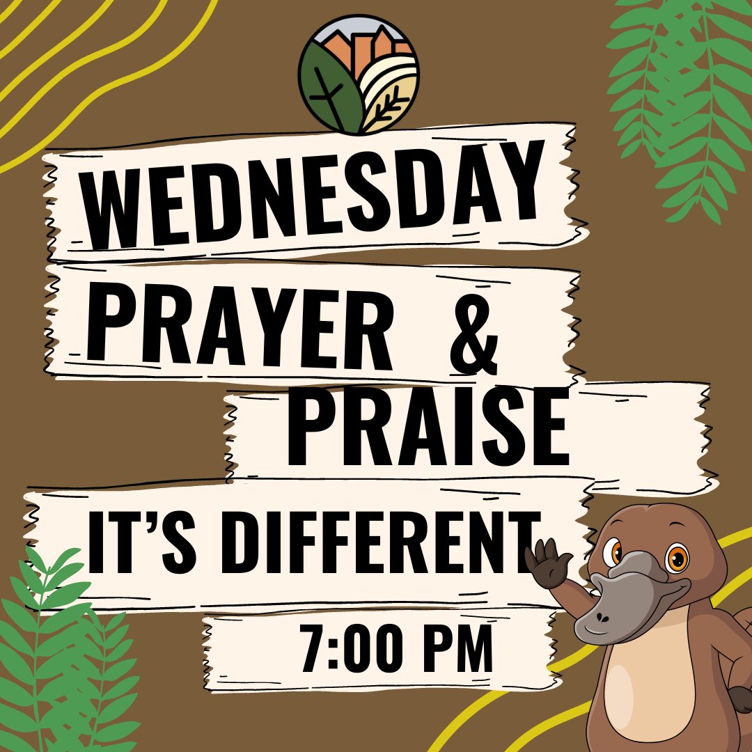 Harvest Baptist Fellowshp (@hbftampa) on Twitter photo 