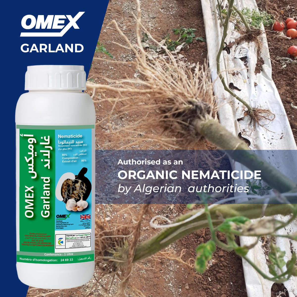 OMEXAgrifluids's tweet photo. We are delighted to announce that Garland has been authorised by Algerian authorities as an ORGANIC NEMATICIDE 🪱📷#organicfarming #omexagrifluids #growwithomex https://t.co/4wqdRSONFH