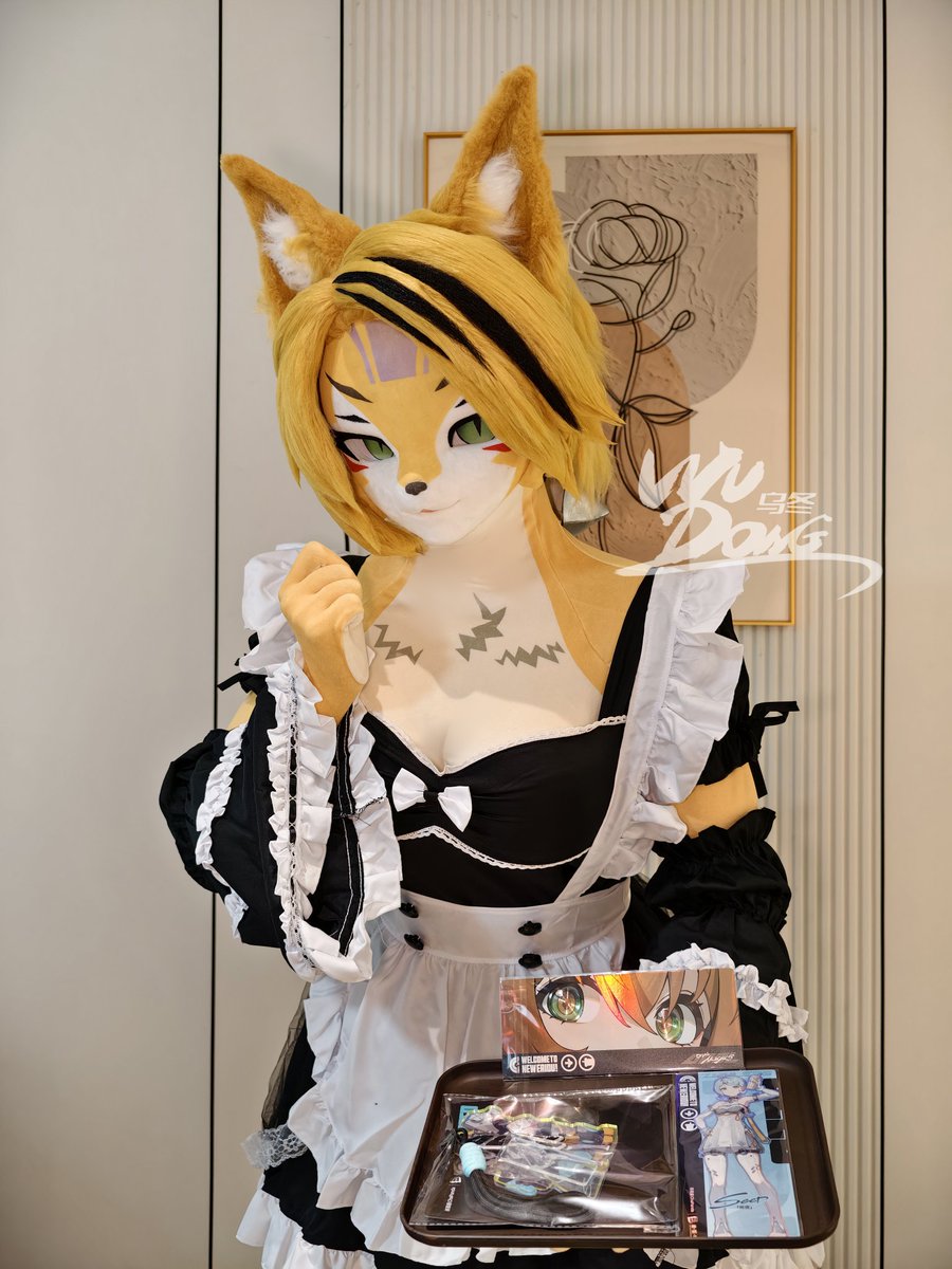 绳…主人，要来一份绝区零联动套餐吗？
我只是出来打工的猫希人女仆哦，只要给我相应的报酬就可以帮你加上变好吃的魔法。嗯？谁是波可娜？不认识哦主人┑(￣Д ￣)┍
（OOC致歉）
#kig #kigurumi #着ぐるみ #ZenlessZoneZero #绝区零 #Pulchra  #波可娜 #furry #绝区零联动