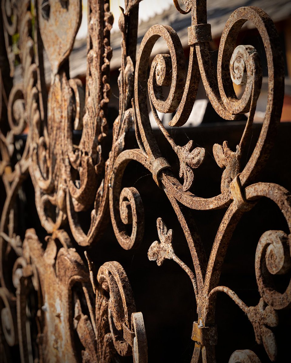 Morgen gaan de poorten van het vampierenbal na 100 jaar weer open. 🧛🩸 Ben jij bereid om je bloed af te staan aan de zwierende vampieren? #Toverland #HalloweenNights