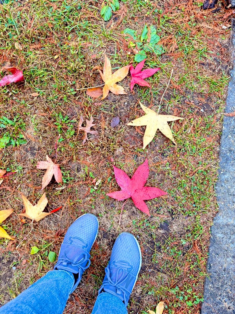 AnHeartist's tweet image. Hello October! 
Help me embrace the season of change and bloom into the person I’m meant to be. #morningthoughts #NewMonth #fallseason 🍁