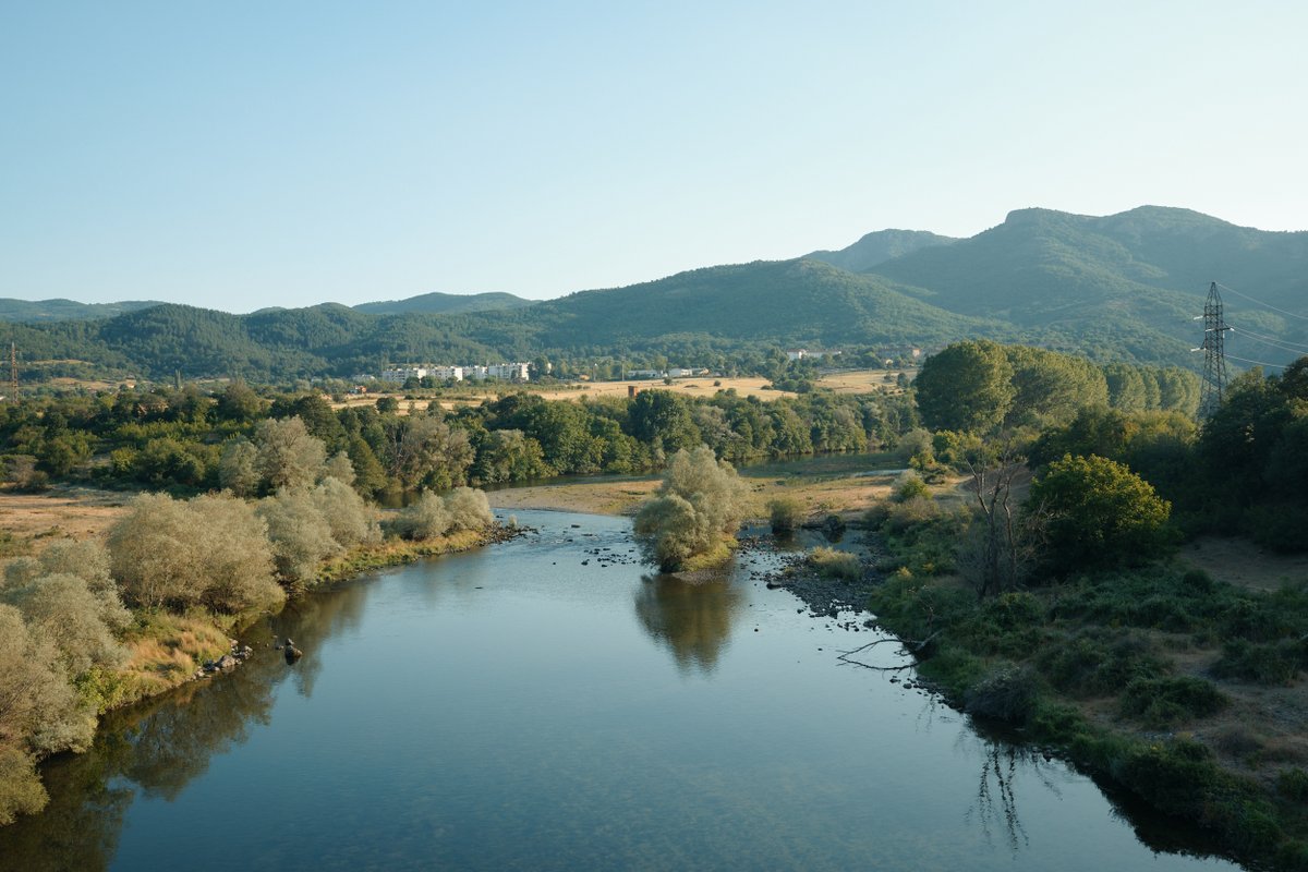 Forests Without Frontiers tweet media