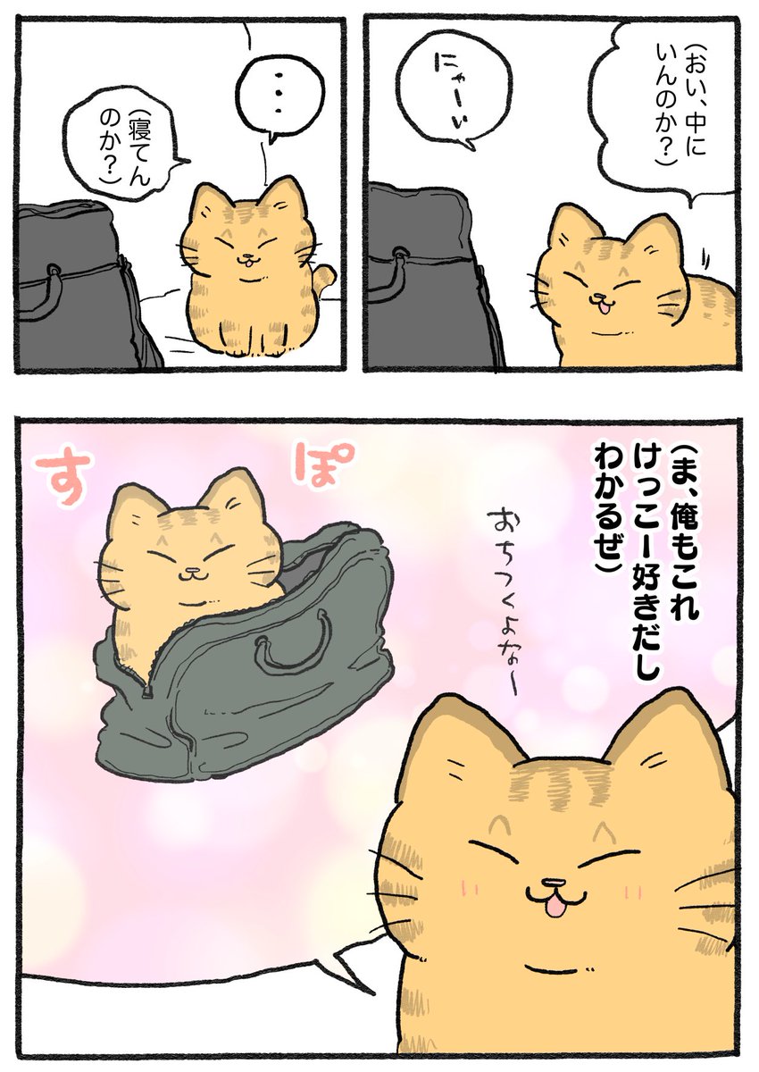 ねこおじ様 ねこに転生したおじさん。その855
