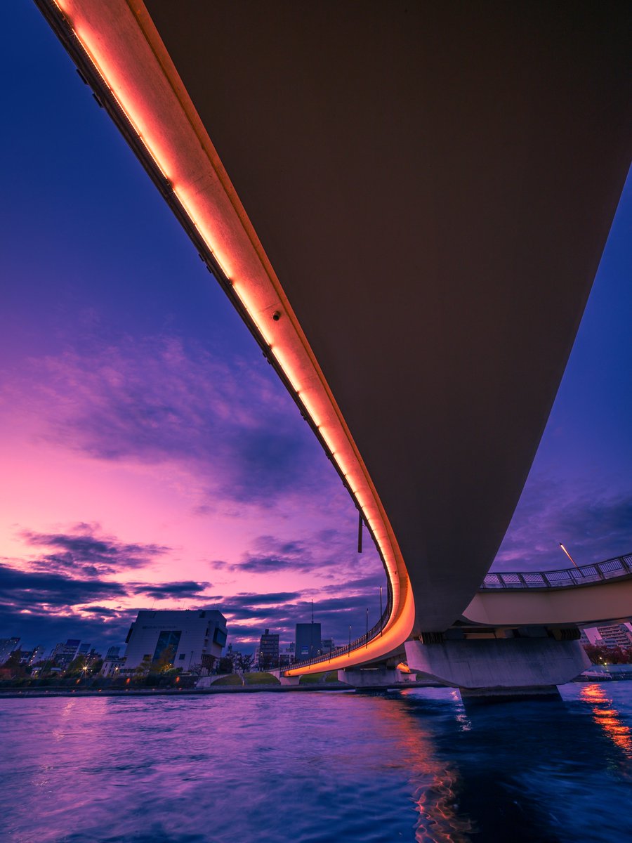 またたびV3 tweet media