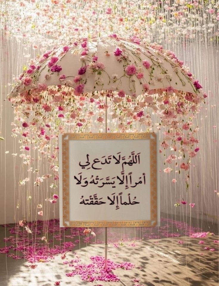 Heba Mohamed Soliman (@hebamohamedsol2) on Twitter photo  Heba Mohamed Soliman (@hebamohamedsol2) on Twitter photo