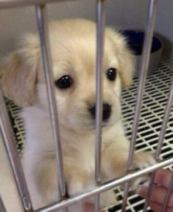 _rlo_seok's tweet photo. 여자들 은석오면 이르케되는거 왤케웃기지 ㅠㅠ https://t.co/qFfF42EO9b