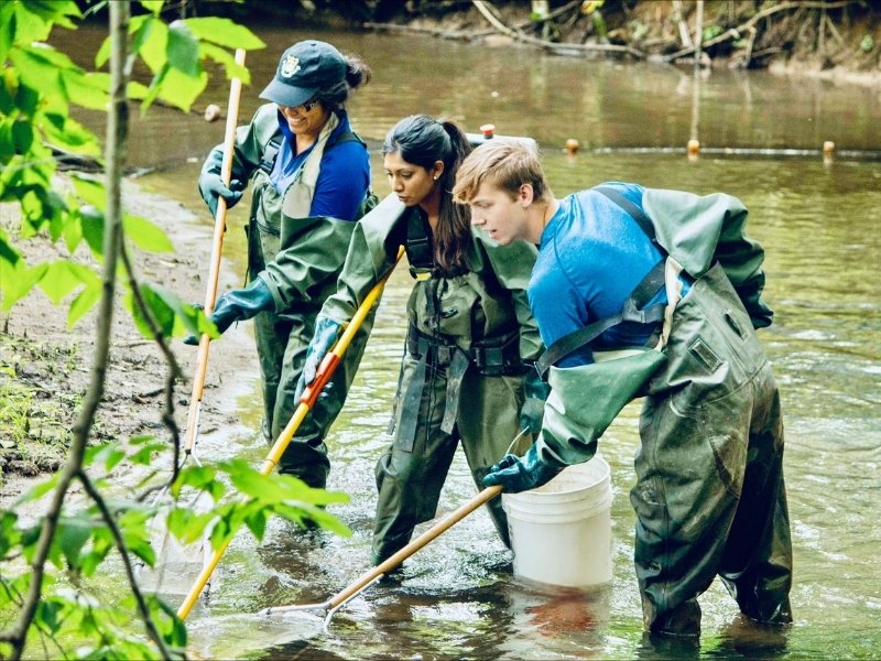 UofGCBS's tweet image. How does intensive farming affect fish health?🐟

A study by @IntUGrativeBiol's Dr. Fred Laberge, Dr. Nick Bernier &amp;amp; PhD grad Dr. Pria Mahabir examined the brain size of creek chub from streams across southern Ontario to find out.

#SCRIBE 🗞️: uoguelph.ca/cbs/news/2025/…