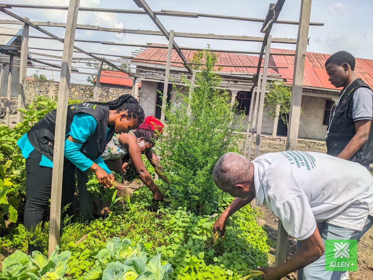 🌍 Lors de la Semaine mondiale d’actions climatiques, nous avons agi concrètement : désherbage, récolte et replantation.
En collaboration avec le Complexe scolaire Turunga, nous revitalisons des pépinières pour sensibiliser les élèves à la protection de la nature.

#Secal #ALLEN+