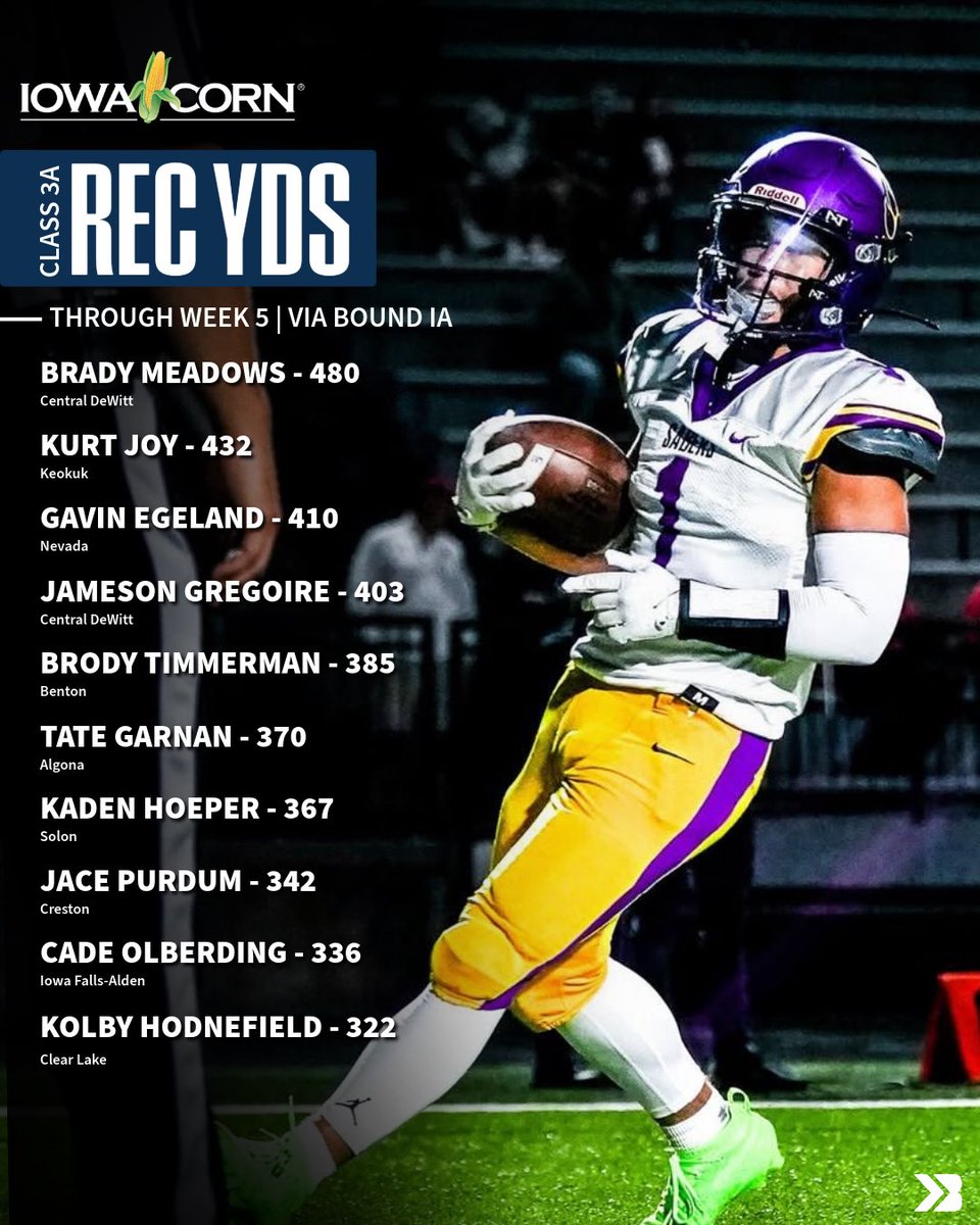 Class 3A Receiving Yard Leaders 🔥

Brady Meadows in the lead.

#iahsfb shotxdorey